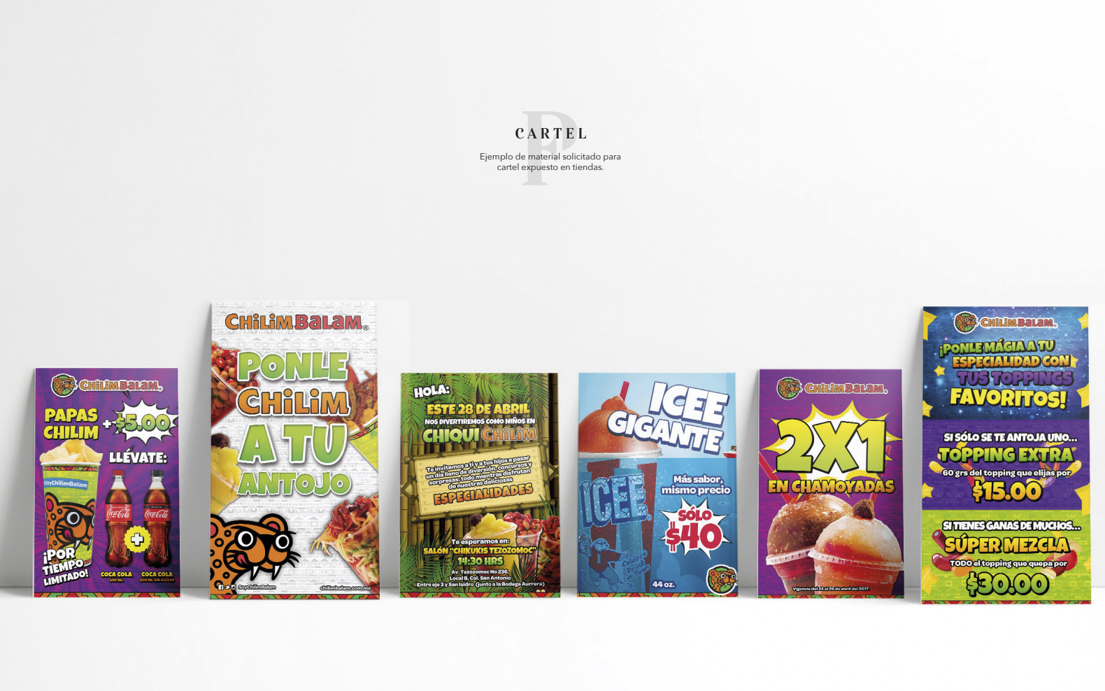 Diseñadora Paulina Flores